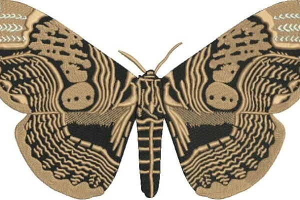 hmde1-Moth Back Logo